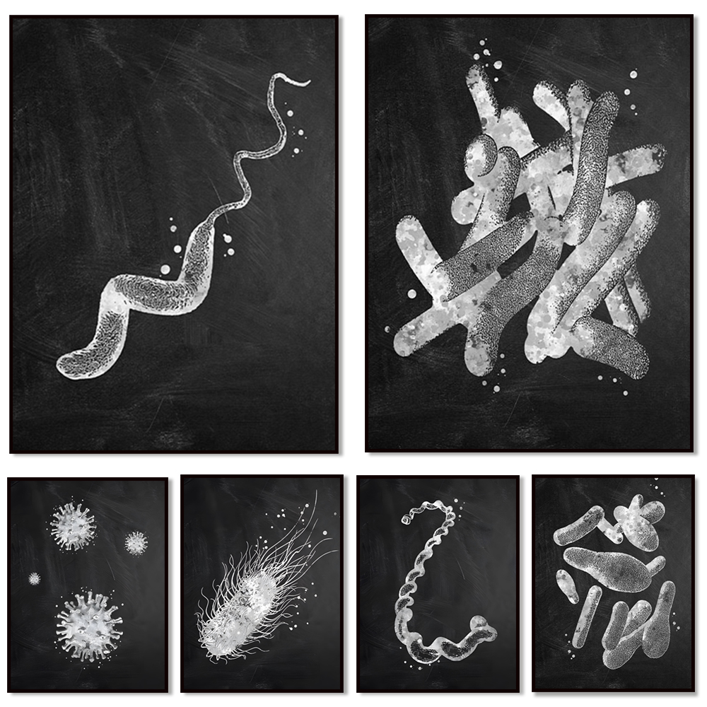 Medical Lab Posters - Bacteria Types Poster Microbiology Art Microbiology