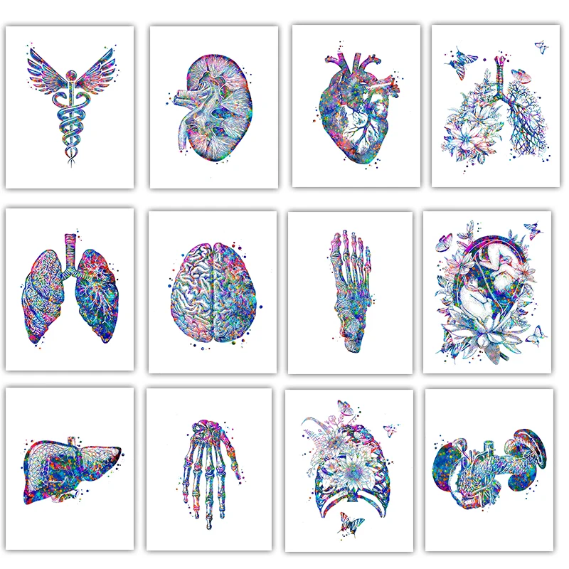 Anatomy Medical Poster Flower  - مراجعة Medical Lab Posters وسعره