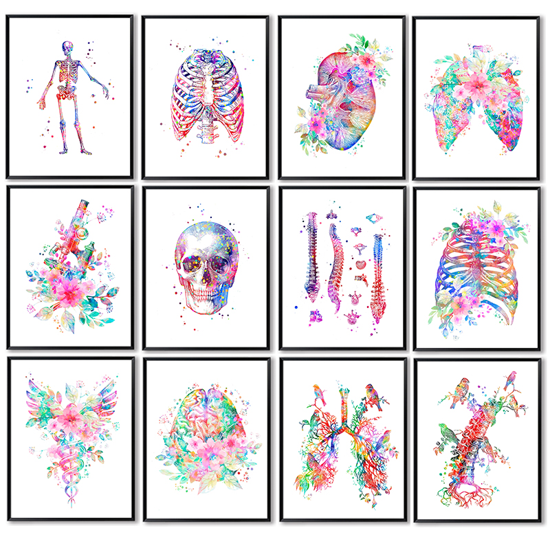 Anatomy Medical Poster Flower  - مراجعة Medical Lab Posters وسعره
