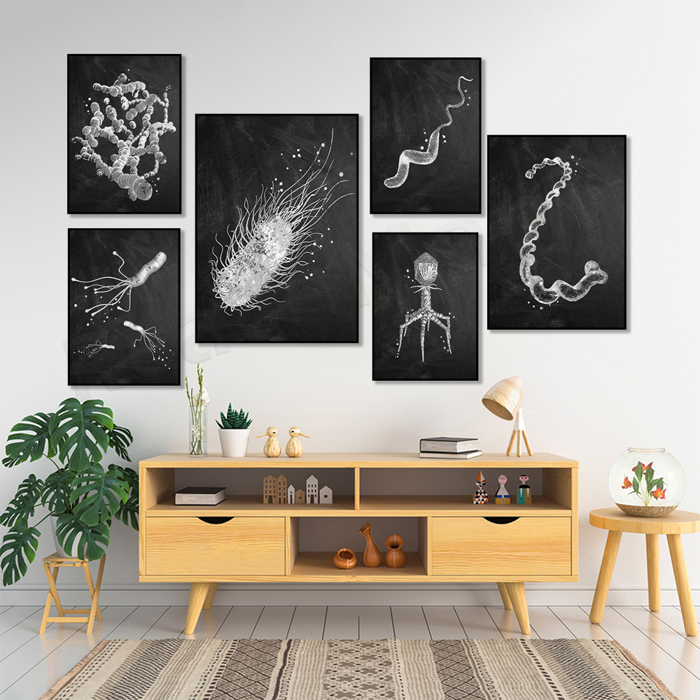Bacteria Types Poster Microbio - مراجعة Medical Lab Posters وسعره