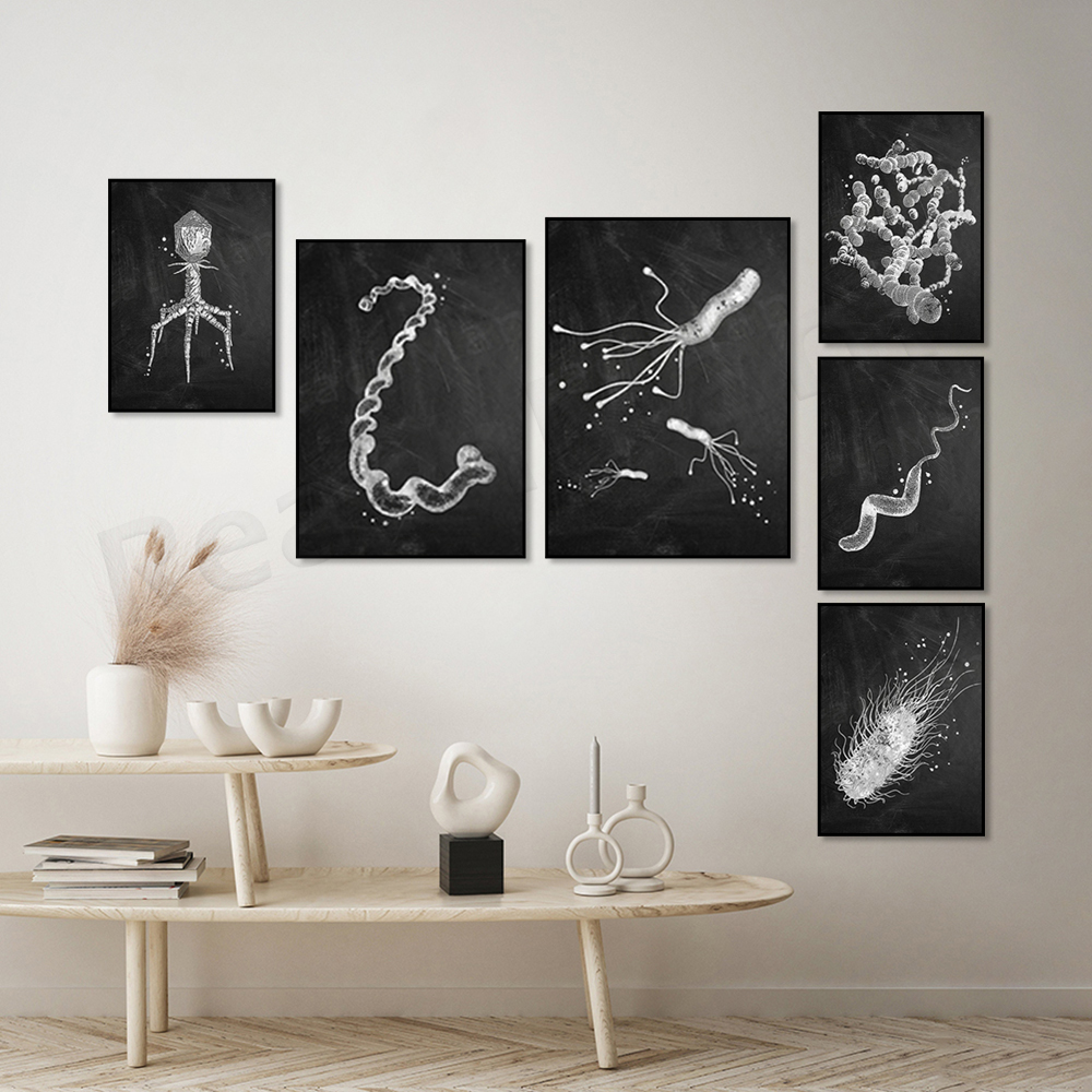 Bacteria Types Poster Microbio - مراجعة Medical Lab Posters وسعره