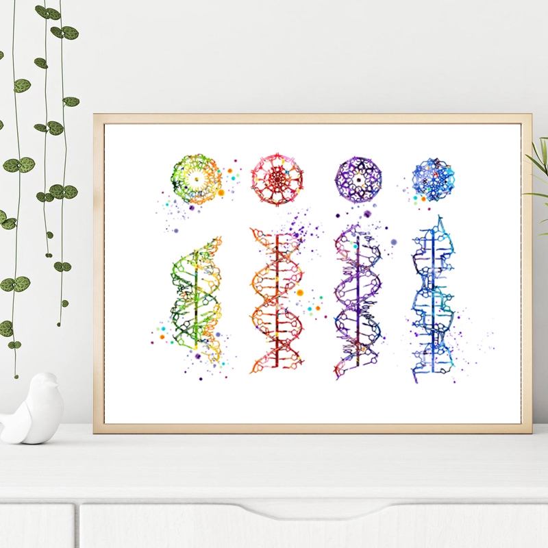 DNA Molecule Print Modern Medi - مراجعة Medical Lab Posters وسعره