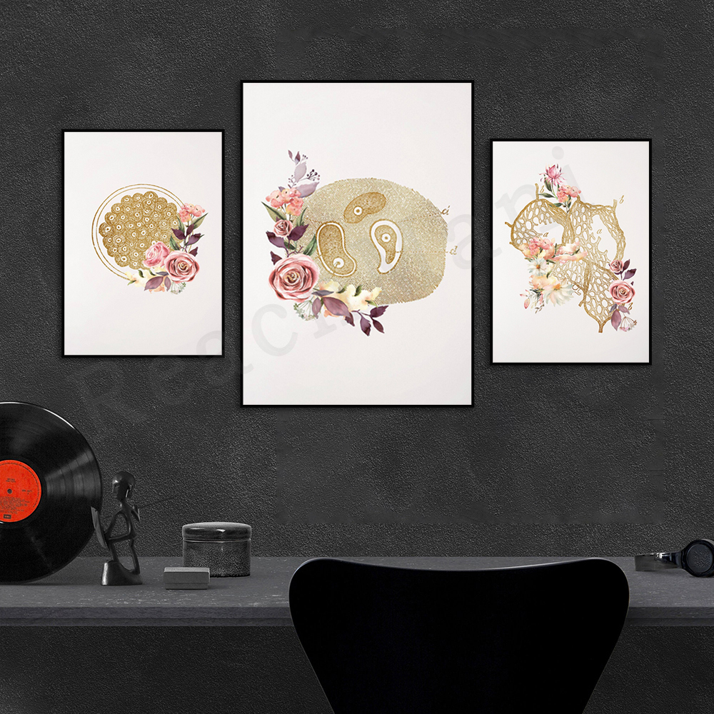 Microbiologist lab technician  - مراجعة Medical Lab Posters وسعره